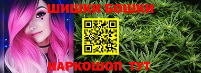 jwh Нальчик
